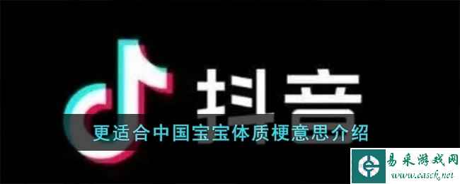 更适合中国宝宝体质梗意思介绍