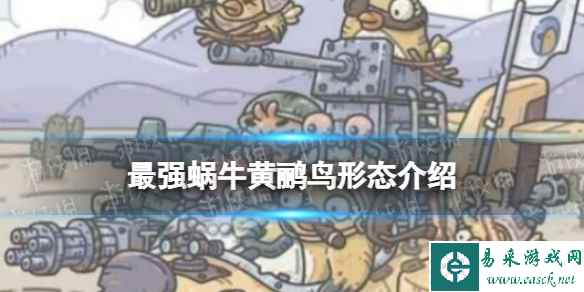 《最强蜗牛》黄鹂鸟形态介绍