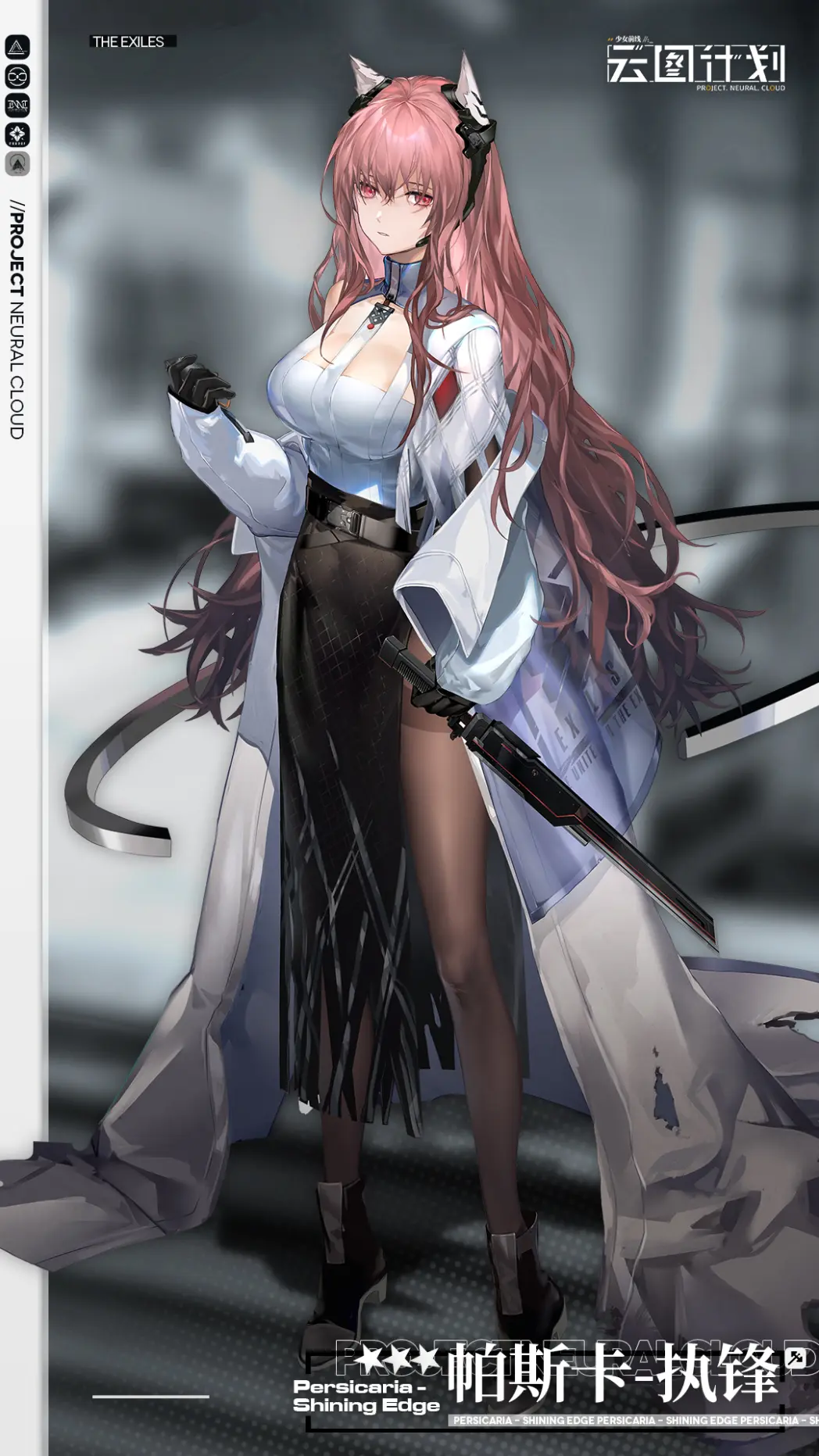 网2