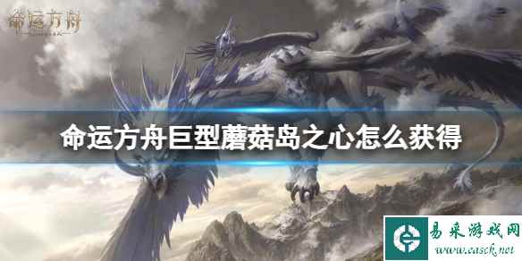 网1