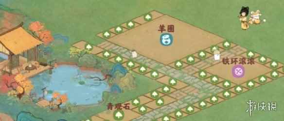 网5