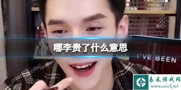 网1