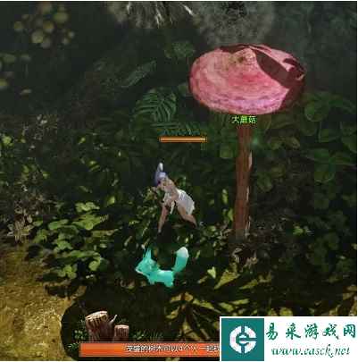 网4