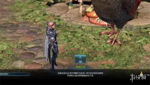 网6