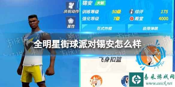 网1