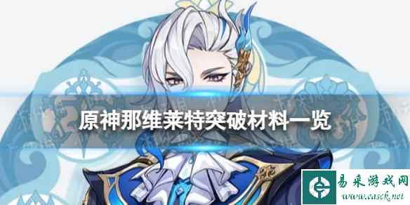 网1