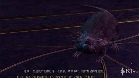 《博德之门3》老鼠位置介绍