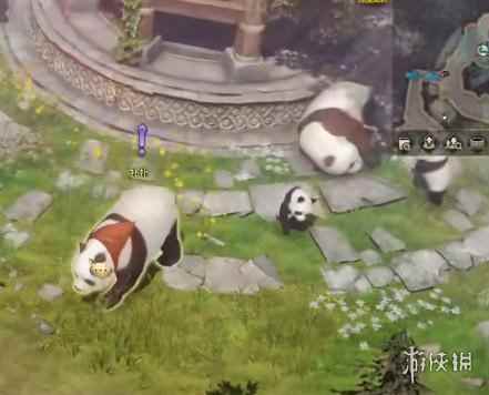 网5
