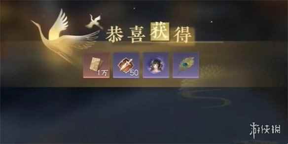 网5