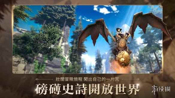 网6