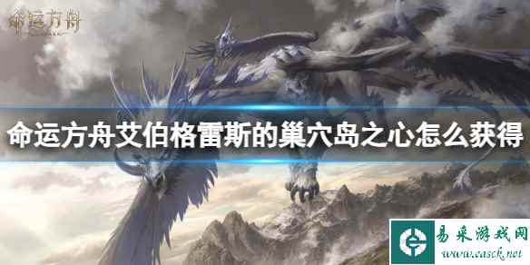 网1