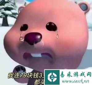 网4