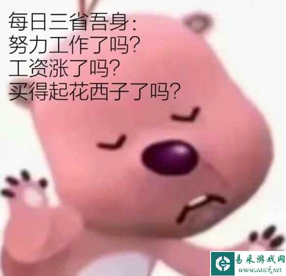 网5