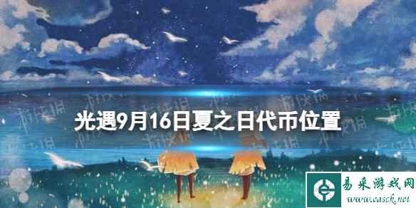 网1