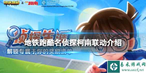 网1