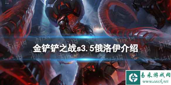 网1