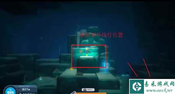 《潜水员戴夫》第二章全主线攻略流程