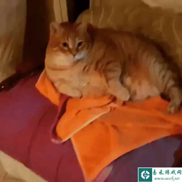 易采游戏网