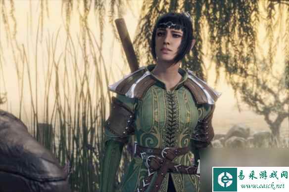 博德之门3是网游还是单机详情