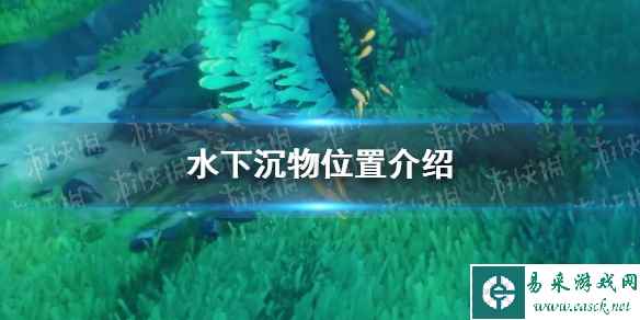网1