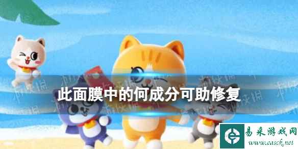 网1