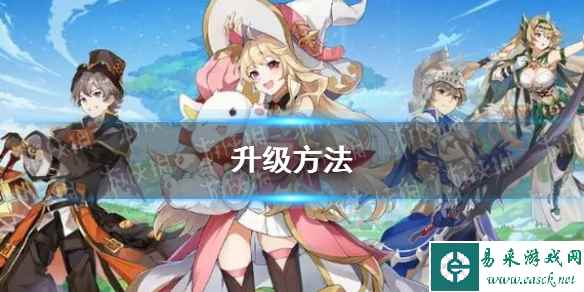 网1