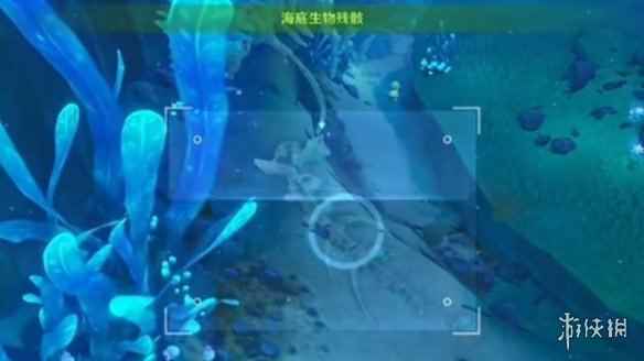 网5