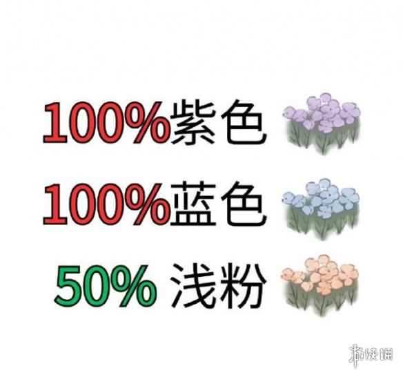 网2