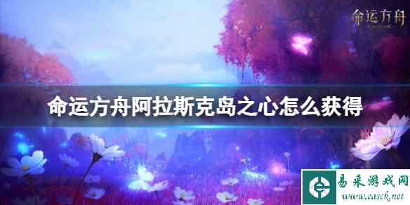 网1