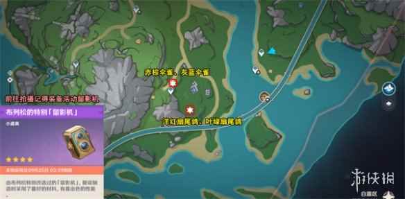 网2