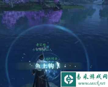 网5