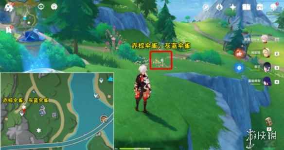 网4