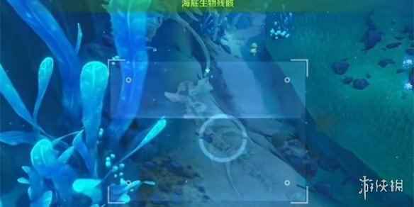 网5