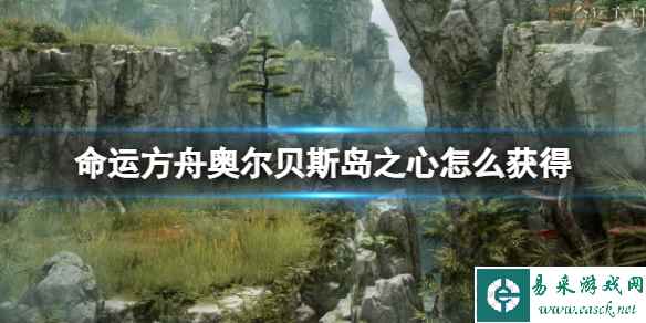 网1
