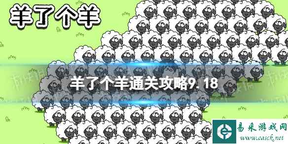 网1