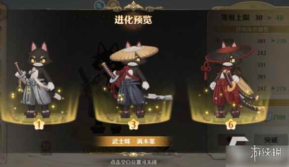 网4