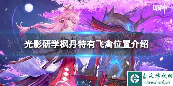 网1