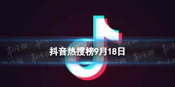 网1