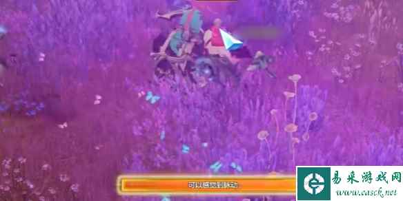 网4