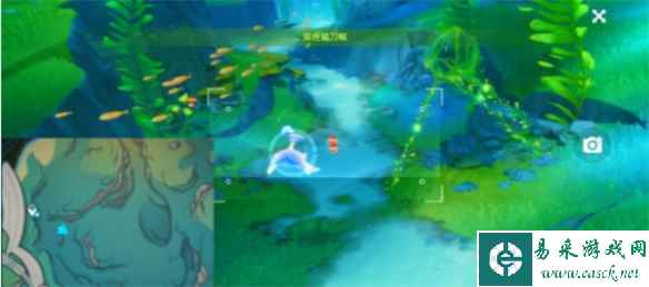 《原神》水界留影研学活动攻略