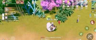 网3