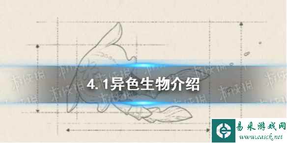 网1