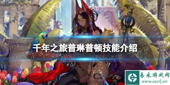 网1
