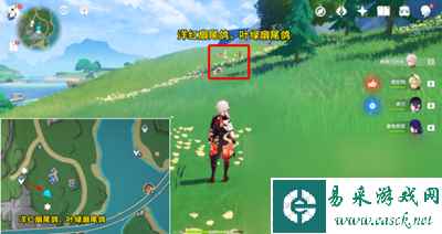 《原神》枫丹特有飞禽位置介绍