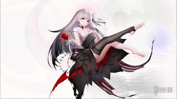 网7