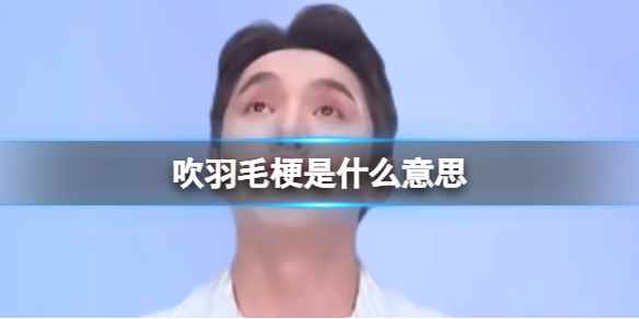 网1