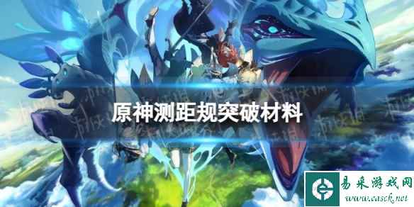 网1