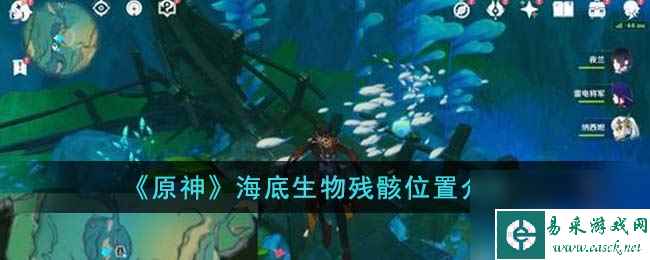 《原神》海底生物残骸位置介绍