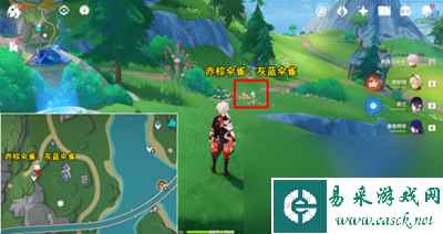 《原神》枫丹特有飞禽位置介绍