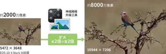 易采游戏网